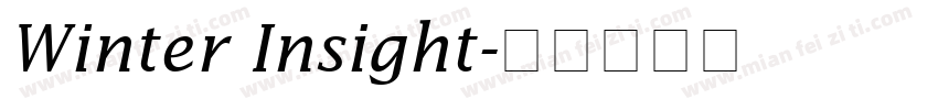 Winter Insight字体转换